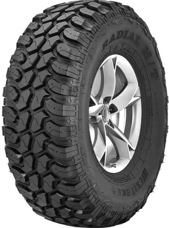 SL366 (CARGA)