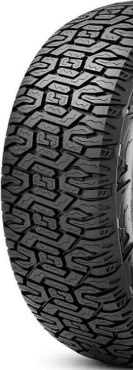 RENEGADE AT SPORT (CARGA)