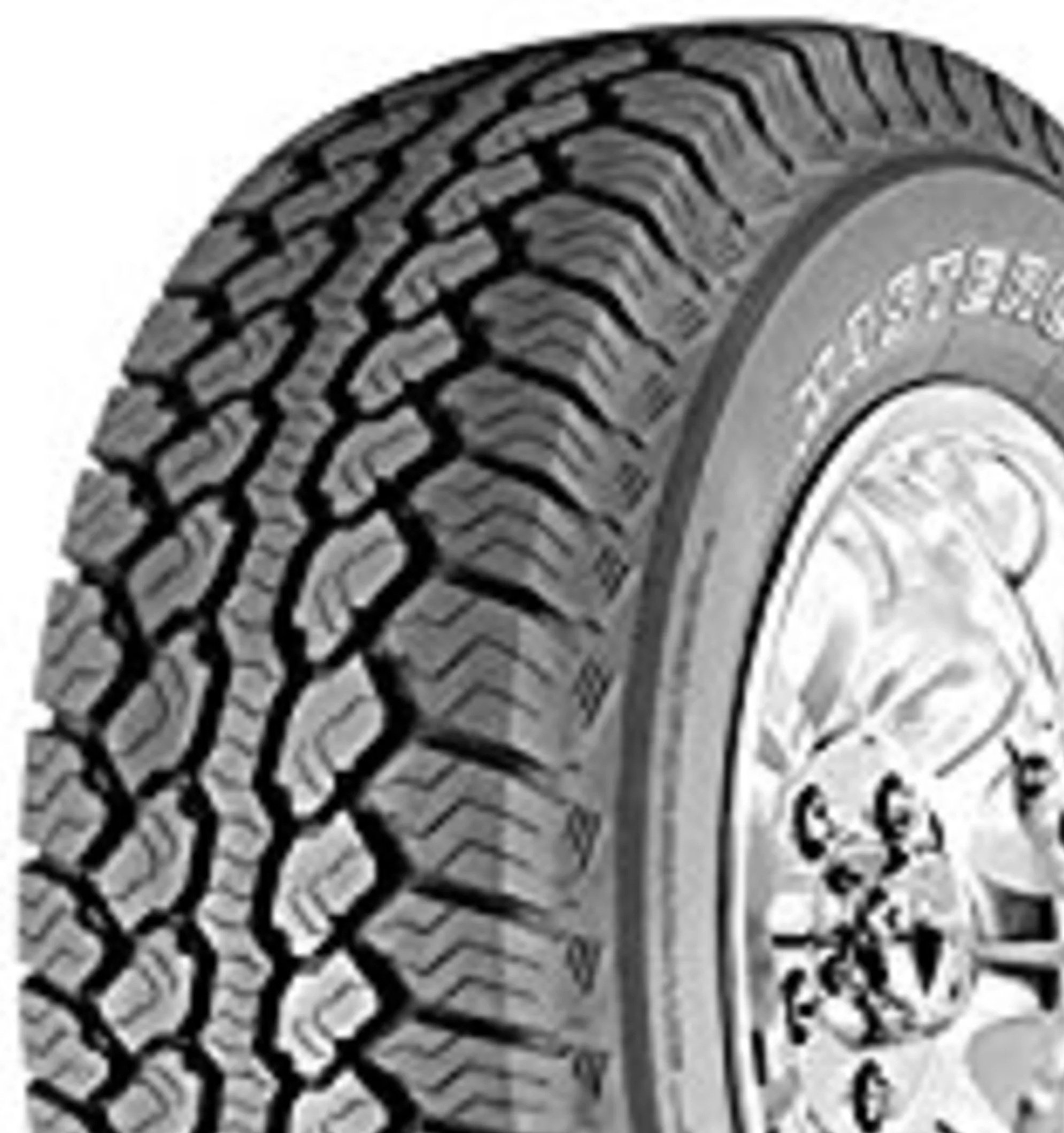 WILDCAT AT2 (MX) (CARGA)