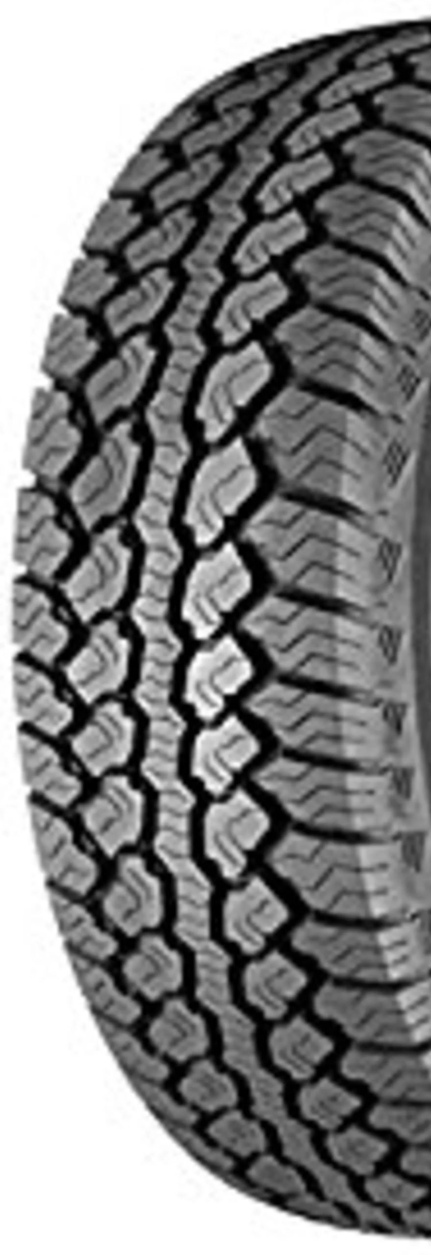 WILDCAT AT2 (MX) (CARGA)