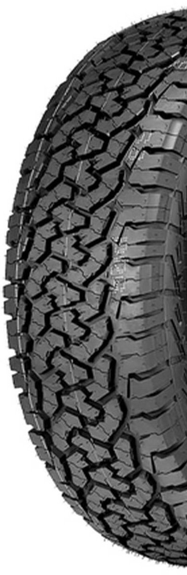 PANGEA AT (CARGA 6PR) (LB)