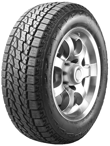 LION SPORT AT (CARGA)